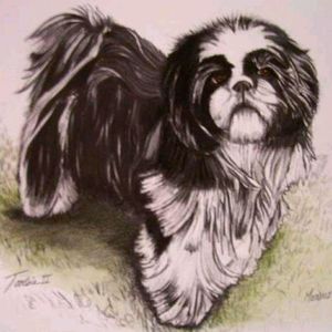 Commissioned Portraits of your loved ones
